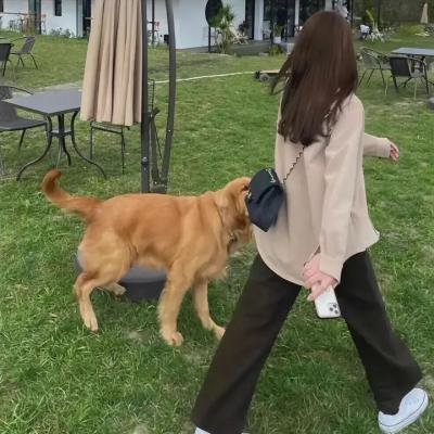 恋与偶像第二季